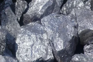 فروسیلیس مرغوب