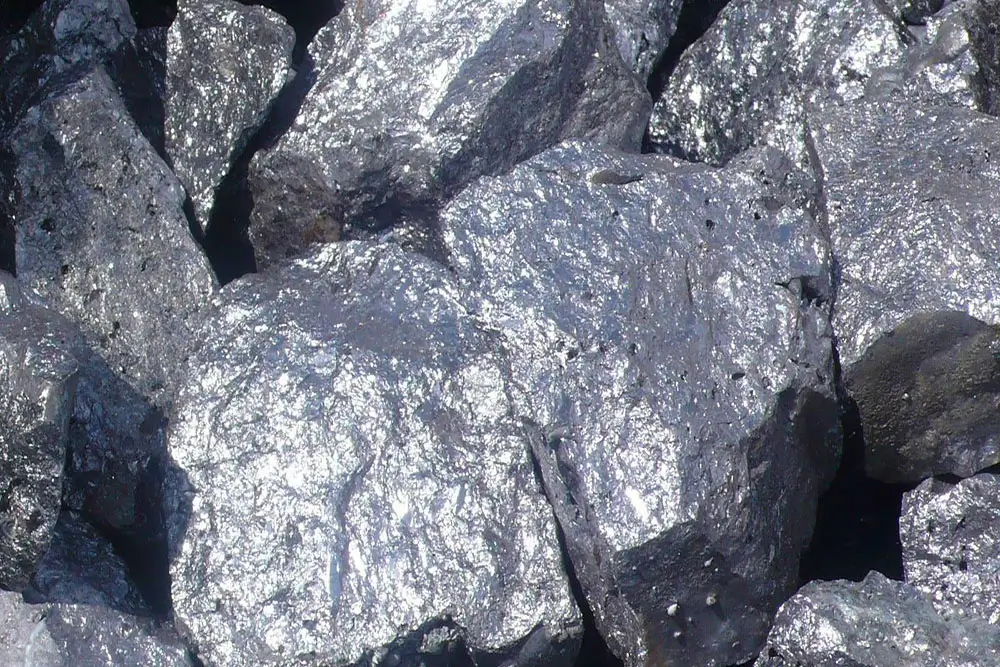 فروسیلیس مرغوب